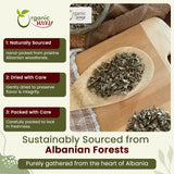 Blackberry Leaf (Rubus fruticosus) Cut & Sifted - Herbal Tea | European Wild-Harvest |  Kosher Certified | Non GMO & Gluten Free | USDA Certified | Origin - Albania