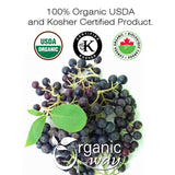 Organic Chokeberries Fruit (Whole)