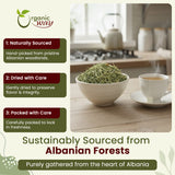 Horsetail Herb Cut & Sifted (Equisetum arvense) - Herbal Tea | European Wild-Harvest | Kosher & USDA Certified | Vegan, Non-GMO & Gluten Free | 100% Raw from Albania