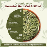 Horsetail Herb Cut & Sifted (Equisetum arvense) - Herbal Tea | European Wild-Harvest | Kosher & USDA Certified | Vegan, Non-GMO & Gluten Free | 100% Raw from Albania