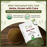 Holy Tulsi/Holy Basil Herb Cut & Sifted (Ocimum Tenuiflorum) - Pure Leaves | Kosher Certified | Raw, Vegan, Non GMO & Gluten Free | USDA Certified | Origin - India