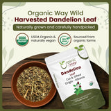 Dandelion Leaf (Taraxacum Officinale) Cut & Sifted - Herbal Tea | European Wild-Harvest | Kosher & USDA Certified | Vegan, Non-GMO & Gluten Free | 100% Raw from Albania