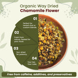 Chamomile Flower Whole (Matricaria chamomilla) - Herbal Tea | European Wild-Harvest | Kosher & USDA Certified | Vegan, Non-GMO & Gluten Free | 100% Raw from Albania