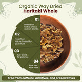 Haritaki Whole (Chebulic Myrobalan) | Terminalia Chebula (Yellow Myrobalan) | Kosher & USDA Certified | Vegan, Non-GMO & Gluten Free | 100% Raw from India