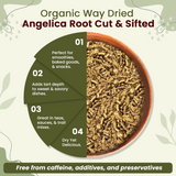 Dried Angelica Root Cut & Sifted - Herbal Tea - Origin Albania
