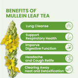 Mullein Leaf Tea Bags