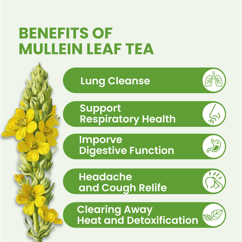 Mullein Leaf Tea Bags