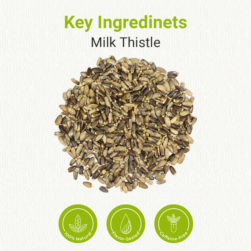 Milk Thistle Tea Bags