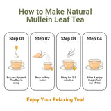 Mullein Leaf Tea Bags