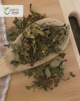 Hawthorn Leaf and Flower Whole (Crataegus monogyna) - Herbal Tea | European Wild-Harvest | USDA & Kosher Certified | Non GMO & Gluten Free | Origin - Albania