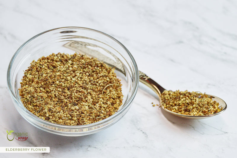 Elderberry Flower , European Wild Harvest